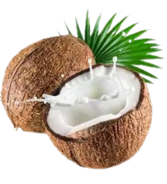 Coconut